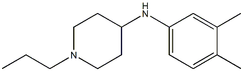 N-(3,4-dimethylphenyl)-1-propylpiperidin-4-amine Struktur