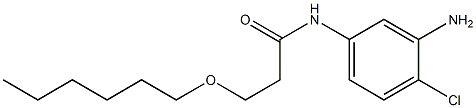 N-(3-amino-4-chlorophenyl)-3-(hexyloxy)propanamide Struktur