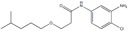 N-(3-amino-4-chlorophenyl)-3-[(4-methylpentyl)oxy]propanamide Struktur