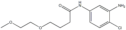 N-(3-amino-4-chlorophenyl)-4-(2-methoxyethoxy)butanamide Struktur