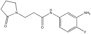 N-(3-amino-4-fluorophenyl)-3-(2-oxopyrrolidin-1-yl)propanamide Struktur