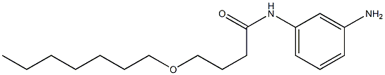 N-(3-aminophenyl)-4-(heptyloxy)butanamide Struktur