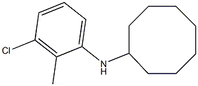 N-(3-chloro-2-methylphenyl)cyclooctanamine Struktur