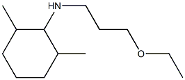 N-(3-ethoxypropyl)-2,6-dimethylcyclohexan-1-amine Struktur