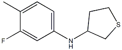 N-(3-fluoro-4-methylphenyl)thiolan-3-amine Struktur