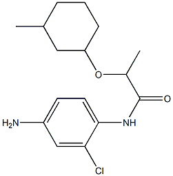 N-(4-amino-2-chlorophenyl)-2-[(3-methylcyclohexyl)oxy]propanamide Struktur