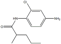 N-(4-amino-2-chlorophenyl)-2-methylpentanamide Struktur