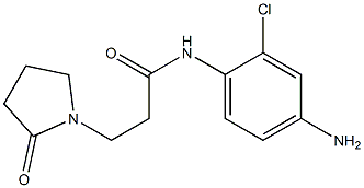 N-(4-amino-2-chlorophenyl)-3-(2-oxopyrrolidin-1-yl)propanamide Struktur