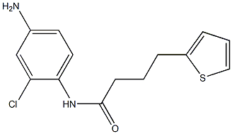 N-(4-amino-2-chlorophenyl)-4-(thiophen-2-yl)butanamide Struktur