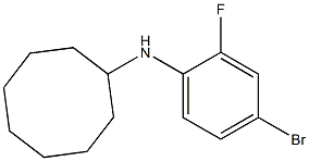 N-(4-bromo-2-fluorophenyl)cyclooctanamine Struktur