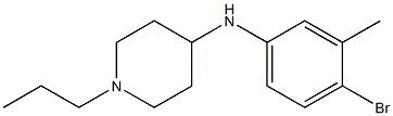 N-(4-bromo-3-methylphenyl)-1-propylpiperidin-4-amine Struktur