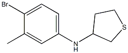 N-(4-bromo-3-methylphenyl)thiolan-3-amine Struktur