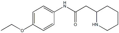 N-(4-ethoxyphenyl)-2-(piperidin-2-yl)acetamide Struktur