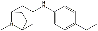 N-(4-ethylphenyl)-8-methyl-8-azabicyclo[3.2.1]octan-3-amine Struktur