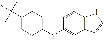 N-(4-tert-butylcyclohexyl)-1H-indol-5-amine Struktur