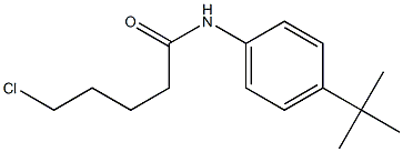 N-(4-tert-butylphenyl)-5-chloropentanamide Struktur