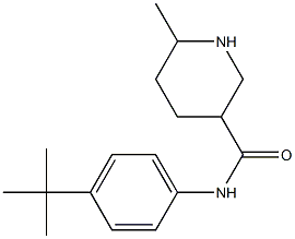 N-(4-tert-butylphenyl)-6-methylpiperidine-3-carboxamide Struktur