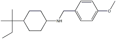 N-[(4-methoxyphenyl)methyl]-4-(2-methylbutan-2-yl)cyclohexan-1-amine Struktur