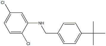 N-[(4-tert-butylphenyl)methyl]-2,5-dichloroaniline Struktur