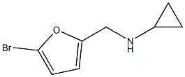 N-[(5-bromo-2-furyl)methyl]-N-cyclopropylamine Struktur