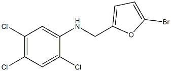 N-[(5-bromofuran-2-yl)methyl]-2,4,5-trichloroaniline Struktur