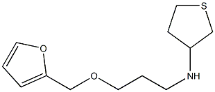 N-[3-(furan-2-ylmethoxy)propyl]thiolan-3-amine Struktur