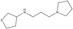 N-[3-(pyrrolidin-1-yl)propyl]thiolan-3-amine Struktur