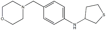 N-[4-(morpholin-4-ylmethyl)phenyl]thiolan-3-amine Struktur