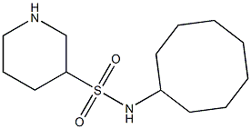 N-cyclooctylpiperidine-3-sulfonamide Struktur