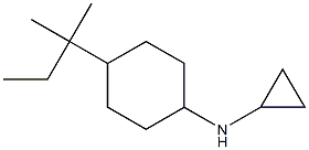 N-cyclopropyl-N-[4-(1,1-dimethylpropyl)cyclohexyl]amine Struktur