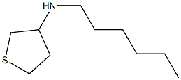 N-hexylthiolan-3-amine Struktur