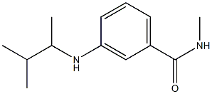 N-methyl-3-[(3-methylbutan-2-yl)amino]benzamide Struktur