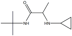 N-tert-butyl-2-(cyclopropylamino)propanamide Struktur