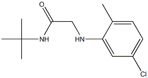 N-tert-butyl-2-[(5-chloro-2-methylphenyl)amino]acetamide Struktur