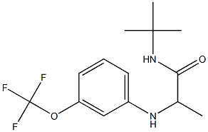 N-tert-butyl-2-{[3-(trifluoromethoxy)phenyl]amino}propanamide Struktur