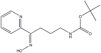 (4-Hydroxyimino-4-pyridin-2-yl-butyl)-carbamic acid tert-butyl ester Struktur