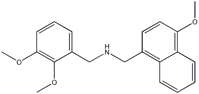 N-(2,3-dimethoxybenzyl)(4-methoxy-1-naphthyl)methanamine Struktur