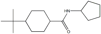 4-tert-butyl-N-cyclopentylcyclohexanecarboxamide Struktur