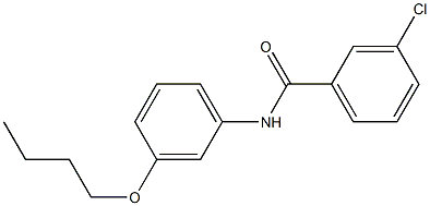 N-(3-butoxyphenyl)-3-chlorobenzamide Struktur