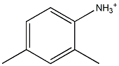 2,4-Dimethylanilinium Struktur