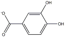 3,4-Dihydroxybenzoate Struktur