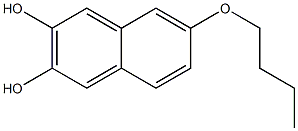 6-Butoxynaphthalene-2,3-diol Struktur