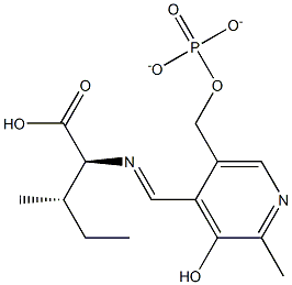 N-[[3-Hydroxy-2-methyl-5-[(phosphonatooxy)methyl]pyridin-4-yl]methylene]-L-isoleucine Struktur