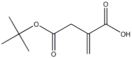 2-Methylenesuccinic acid 4-tert-butyl ester Struktur