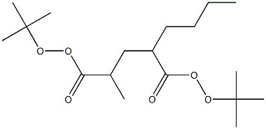 Octane-2,4-di(peroxycarboxylic acid)di-tert-butyl ester Struktur