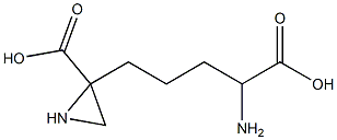 2-(4-Amino-4-carboxybutyl)aziridine-2-carboxylic acid Struktur