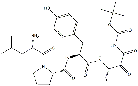 tert-butyloxycarbonyl-leucyl-prolyl-tyrosyl-alanyl-methylamide Struktur