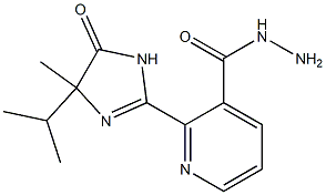 2-(4-isopropyl-4-methyl-5-oxo-4,5-dihydro-1H-imidazol-2-yl)pyridine-3-carbo hydrazide Struktur