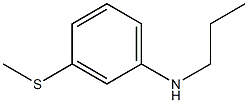 3-(methylsulfanyl)-N-propylaniline Struktur