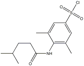 3,5-dimethyl-4-(4-methylpentanamido)benzene-1-sulfonyl chloride Struktur